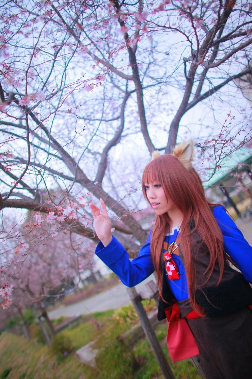 [Cosplay] 2013.04.13 Spice and Wolf Hot Cosplay